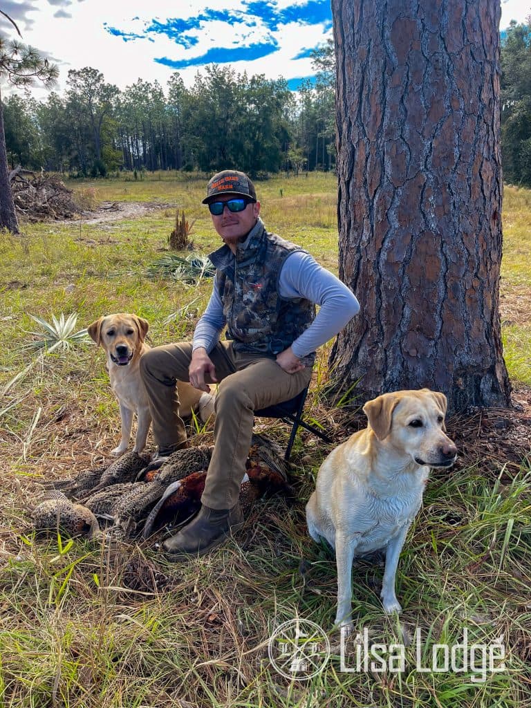 Hunting Dog Profile: Labrador Retriever