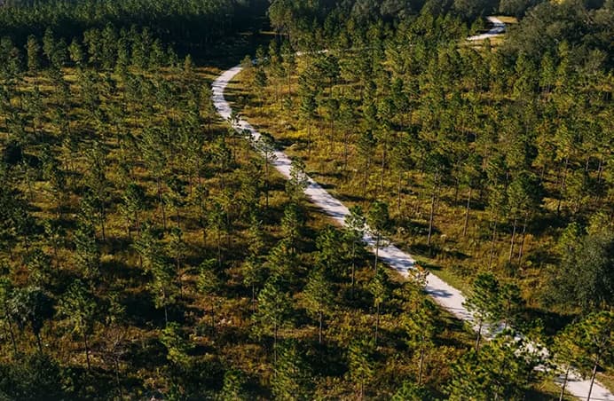 Things to Consider When Buying a Shotgun for Upland Bird Hunting